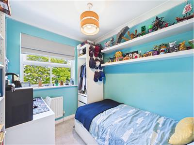 Picture 21